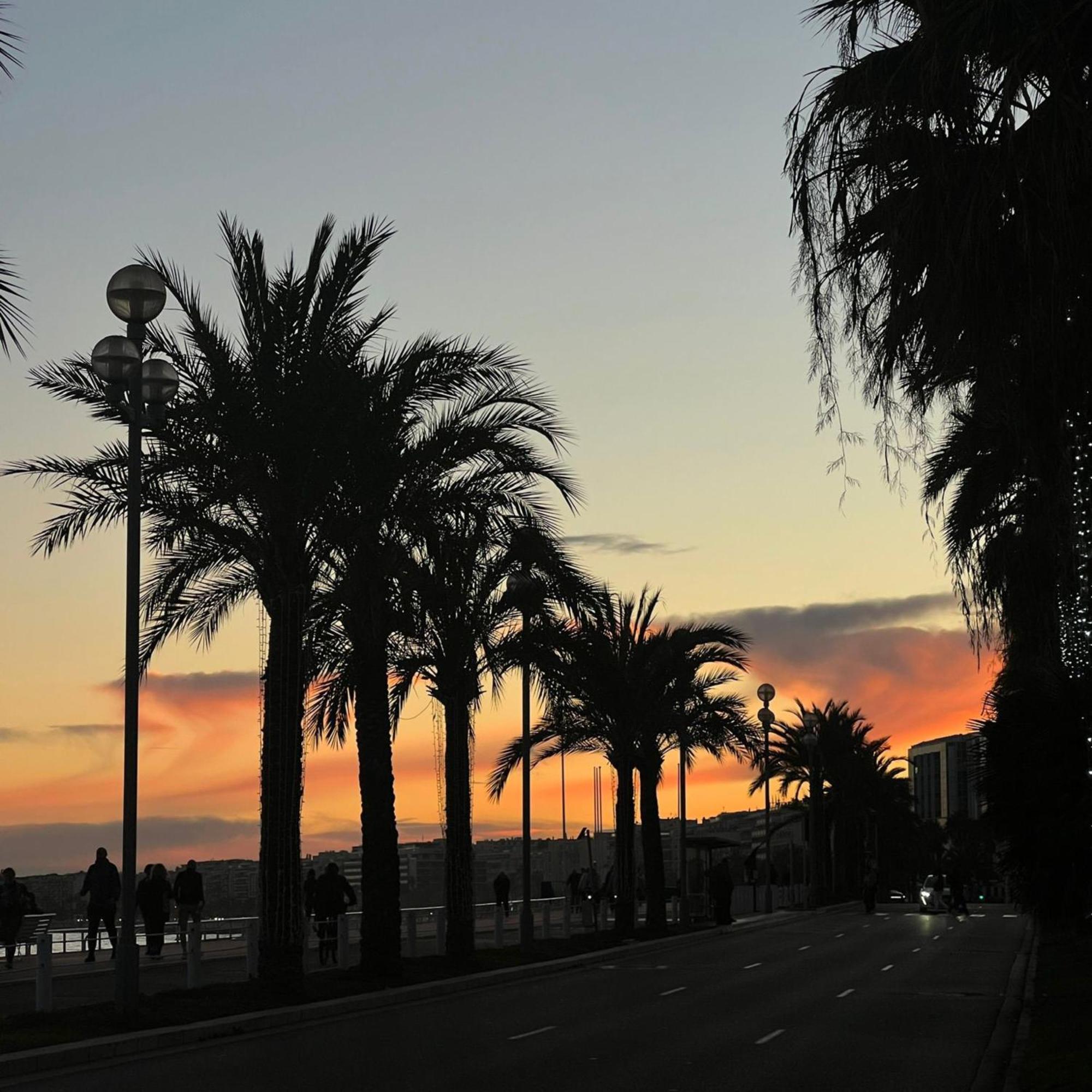 Cozy Near Promenade Appartement *